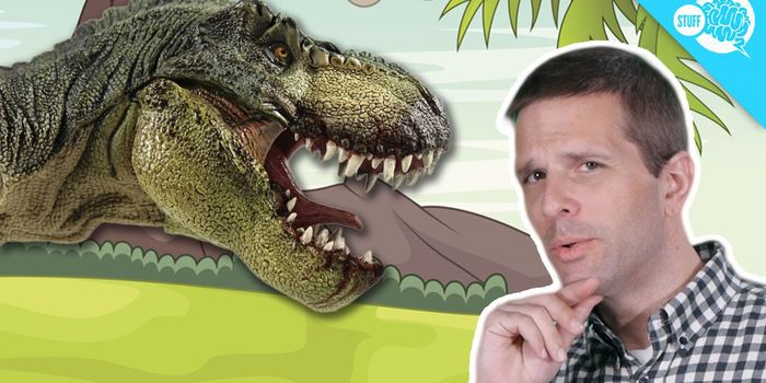 What Did Dinosaurs Actually Look Like?