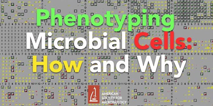 The Why & How of Microbial Cell Phenomics