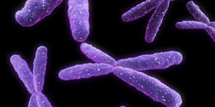 Autism and Prodigy Share Common Genetic Link