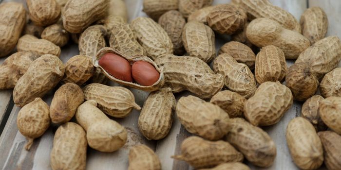 Scientists Discover a Role for the Nervous System in Anaphylaxis