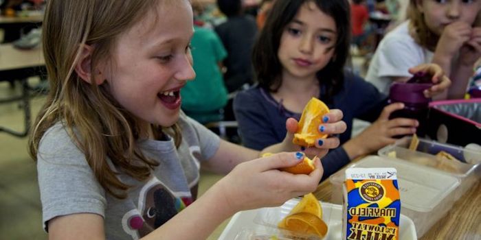 Chronically Low BMI in Children Increases Risk of Eating Disorders Later