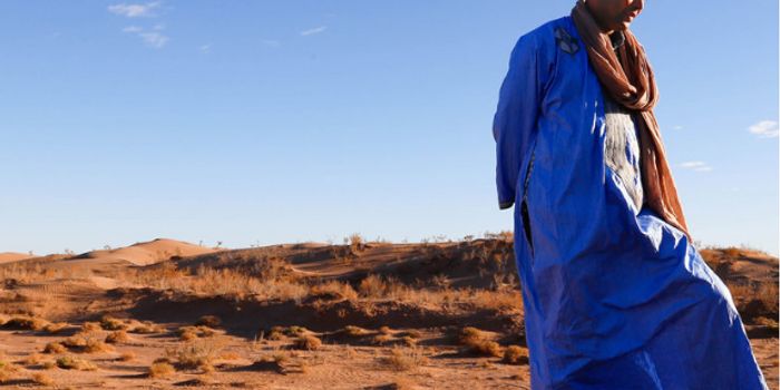 Will VR Help Us Save a Disappearing Oasis?