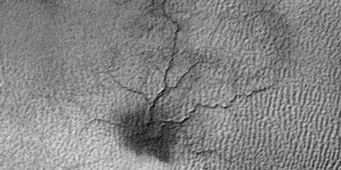 NASA Observes Cumulative Growth of Martian "Spiders" for the First Time