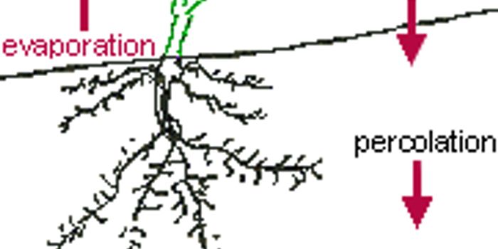 New Project Attempts to Combine Useful Climate Data 