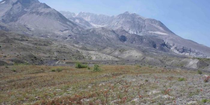 After Only 24 Hours, Gophers Helped Restore Mt. St. Helens