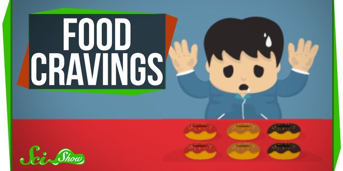 Why Do We Have Food Cravings?