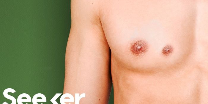 What's the Deal with the Third Nipple?