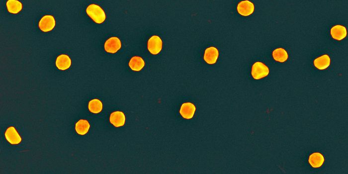 Improving Gene Therapy With Plant-Based Relatives of Cholesterol