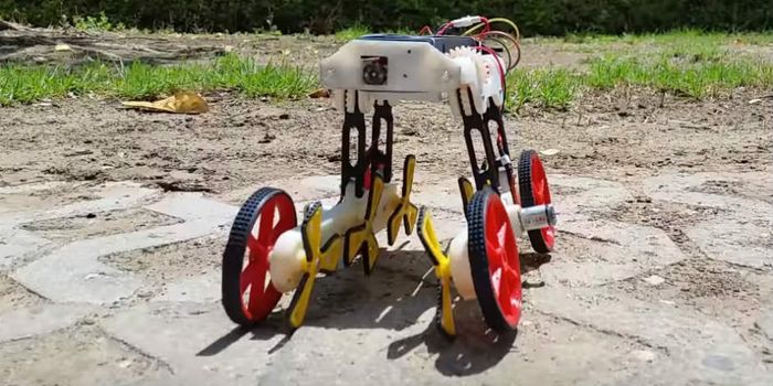 RSTAR: The Creepy Crawling Robot