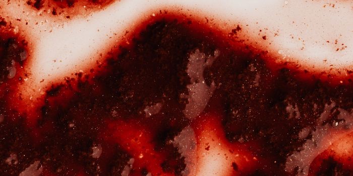 Blood Vessels on a Chip Test Clotting