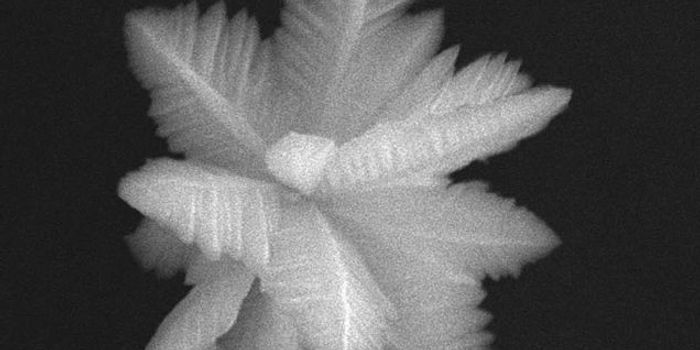 Tiny Diamonds--A Cancer Cell's Best Friend?