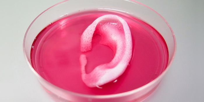 3D Printing of "Spare" Tissues for Human Transplantation