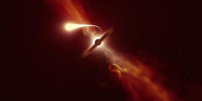 Scientists Watch the 'Spaghettification' of a Star