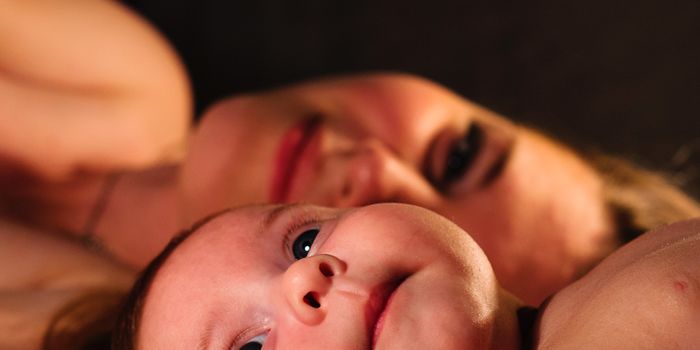 How to Program Your Child's Brain for Obesity: Mother's diet alters the circuitry of eating