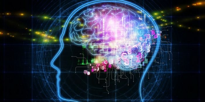 How Developing Brain Cells Feel Their Way Around