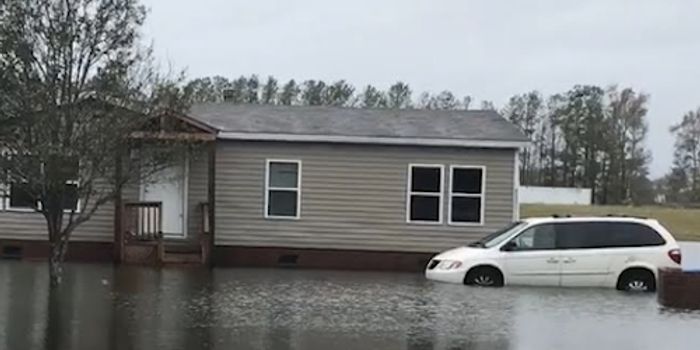 Post-Hurricane Bacterial Threats