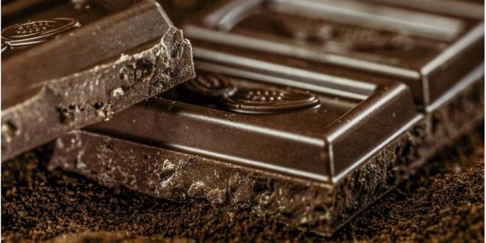 Cocoa's Health Benefits are Increased by Processing Techniques