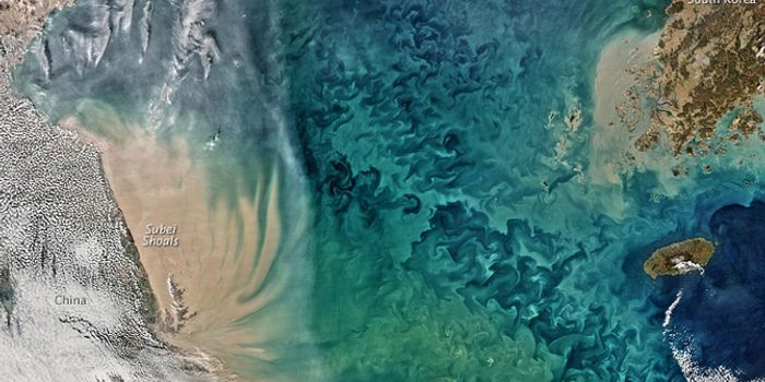 China's Yellow Sea From Space
