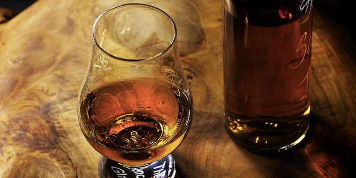 Untangling the Links Between Alcohol, Liver Disease & Gut Microbes