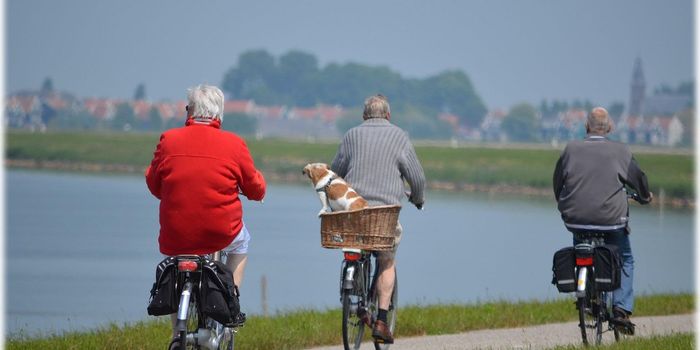 Breast Cancer Rates in Males on the Rise