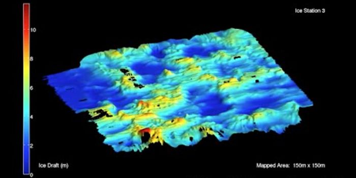 Antarctic Sea Ice Mystery Thickens... Literally