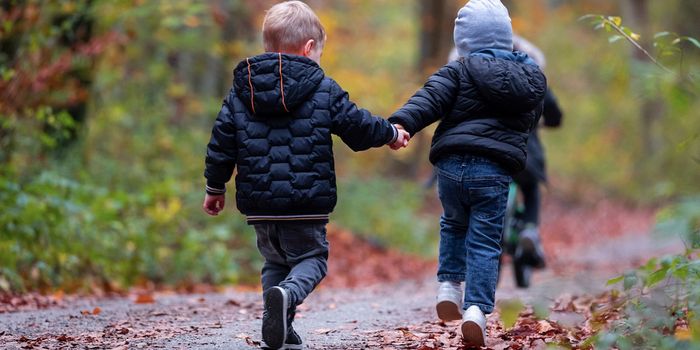 Mechanisms Underlying Tourette Syndrome Revealed by Brain Organoids