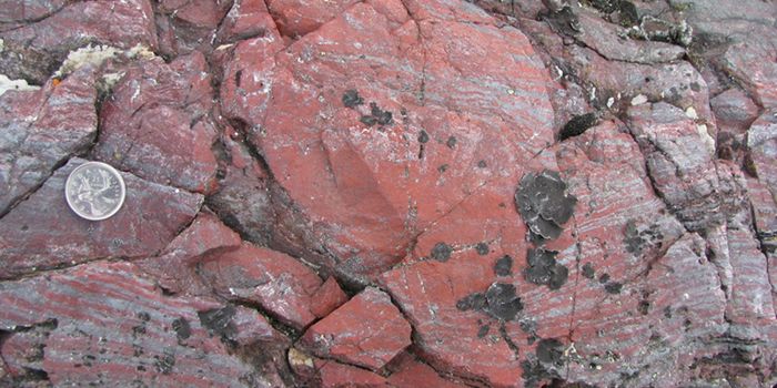 Earth's Oldest Life Forms May be Over 4 Billion Years Old!
