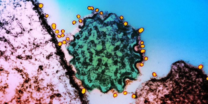 Antibodies From Different People Tend to GRAB the Same Targets