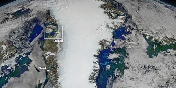 Are Greenland's melting glaciers are causing a phytoplankton bloom?