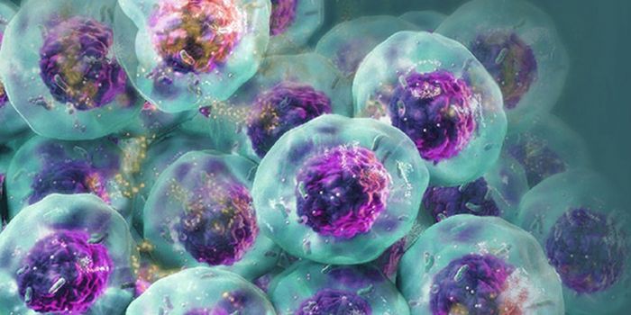 Overcoming Challenges to Detect Apoptosis in 3D Cell Structures