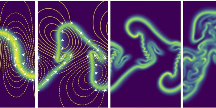 Mathematicians Describe Microbial Movement