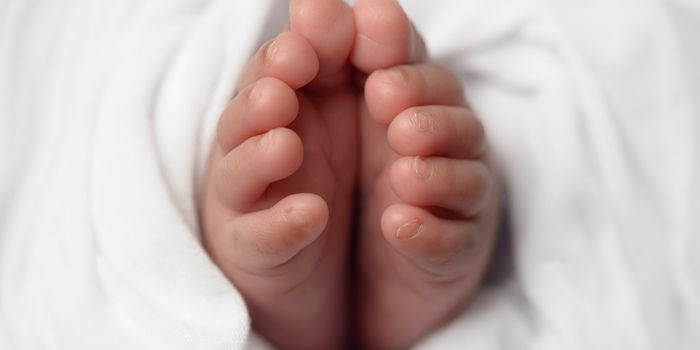 Probiotic Boosters Are Lifesavers for Preterm Babies