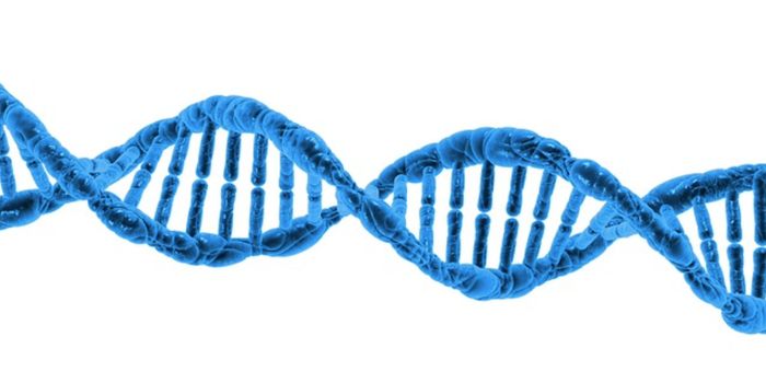 Zaki syndrome - Pediatric Disorder & Potential Treatment ID'ed