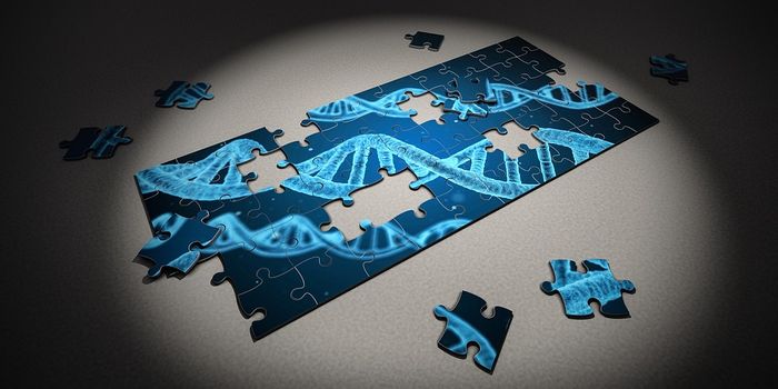 Cataloging Cancer: DNA fingerprints at work