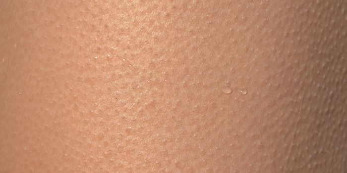 Beneath the Surface, We All Carry the Same Microbes in Our Skin