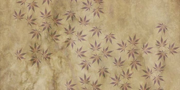 A Brief History of Medical Cannabis