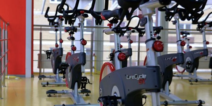 Daily, 6-Minute, High-Intensity Exercise Session May Protect the Brain