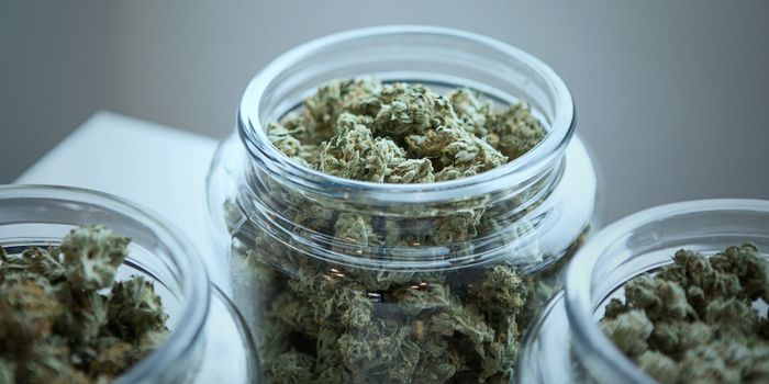 OCD Symptoms Show Improvement With Cannabis Use