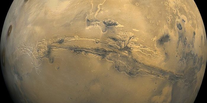 Fungus from NASA cleanrooms could survive Mars conditions