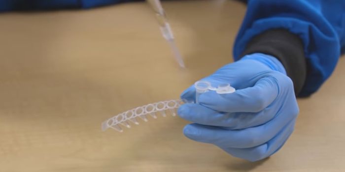 An Inexpensive Kit Teaches Kids About Molecular Biology