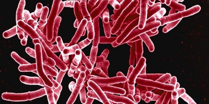 Why the Tuberculosis Bacterium Sickens Some but not Others