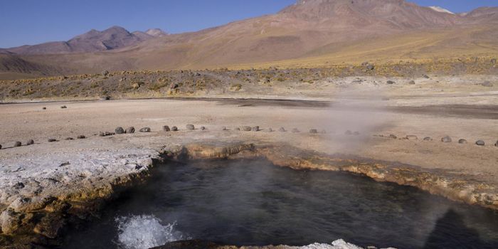 Bacteria Might be Migrating Around the World Through the Air