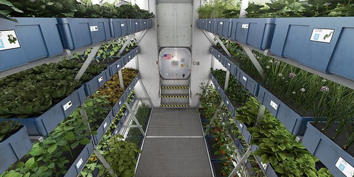 No Gravity? No Problem!