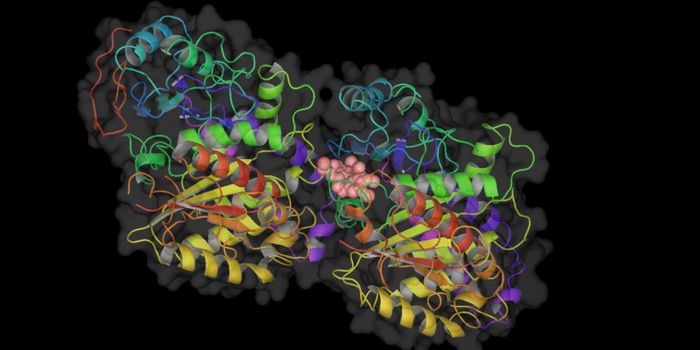 Microtubule Intervention to Reverse Heart Disease