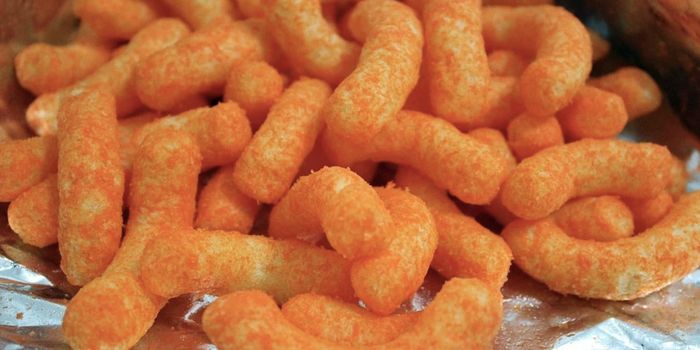 How a Father's Diet Can Impact the Health of His Offspring