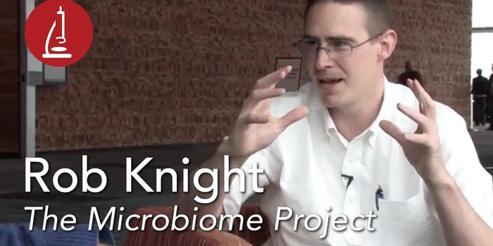 A Discussion About the gut Microbiome