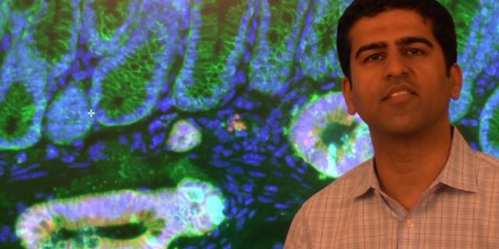 "Gut Reaction" - Another Winner From Koch Awards 2016