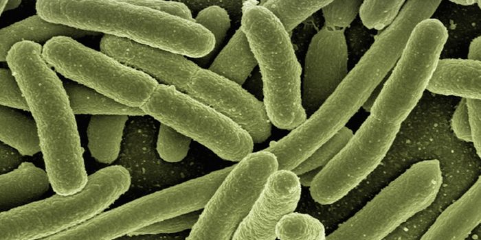 Stimulating Antibiotic Production in Bacteria