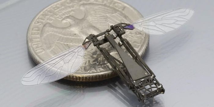 This Insect-Sized Robot Can Fly and Swim
