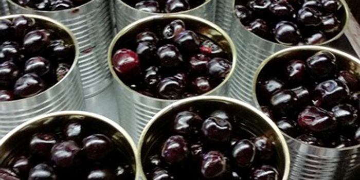 Do you like your produce bacteria-free?